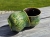 czarka-ceramiczna-cisza-lasu-rekodzielo-zielen-4.jpg