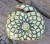 wazon-z-przykrywka-lesna-symbioza-rekodzielo-zielen-ceramika-artystyczna-handmade.jpg