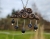 zawieszka-naszyjnik-deszczowe-oczyszczenie-tanzanit-drewno-heban-orzech-srebro-925-rekodzielo-bizuteria-drewniana-handmade-5.jpg