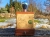 lampa-lesny-swietlik-drewno-camaro-wierzba-rekodzielo-drewniana-lampa-handmade-4.jpg