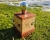 lampa-lesny-swietlik-drewno-camaro-wierzba-rekodzielo-drewniana-lampa-handmade-9.jpg
