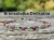 delikatna-bransoletka-personalizowana-z-kamieni-naturalnych.jpg