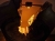 lampa-drewniana-smocza-jama-drewno-orzech-rekodzielo-3.jpg
