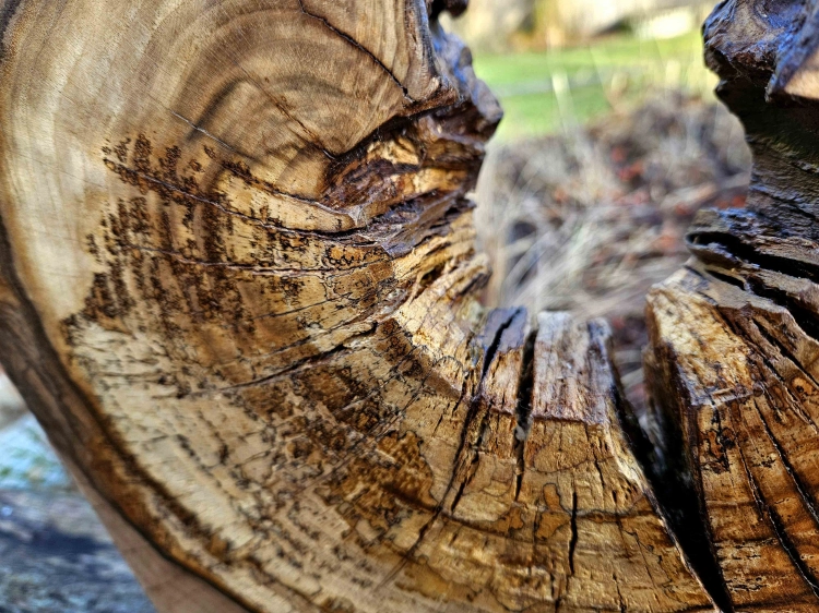 lampa-drewniana-smocza-jama-drewno-orzech-rekodzielo-10.jpg
