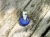 zawieszka-naturalna-delikatnosc-lapis-lazuli-srebro-925-rekodzielo-bizuteria-kamienie-naturalne-handmade.jpg