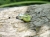 zawieszka-naturalna-delikatnosc-oliwin-srebro-925-rekodzielo-bizuteria-kamienie-naturalne-handmade-2.jpg