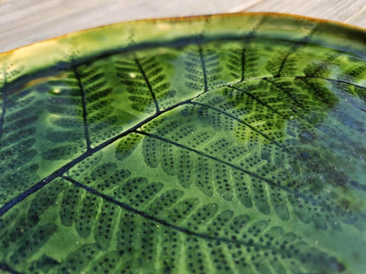 talerz-ceramiczny-glebia-paproci-rekodzielo-zielen-3.jpg